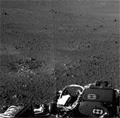 Earth bacteria travel to Mars