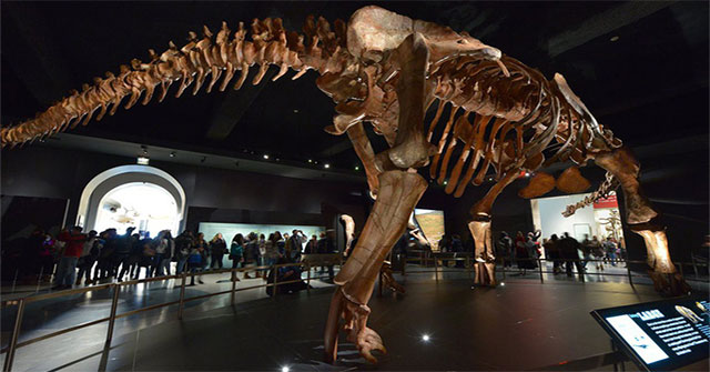Earth changed dramatically, giving birth to a series of super-terrifying 'monsters'