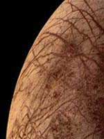 Earth creatures migrate to Titan planet?