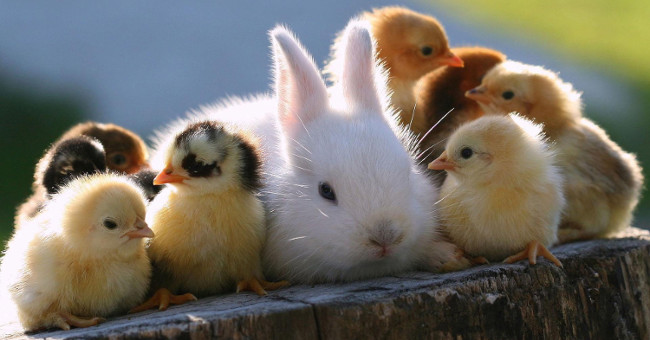 Earth has 1 trillion species of living organisms, 99,999% unexplored and classified
