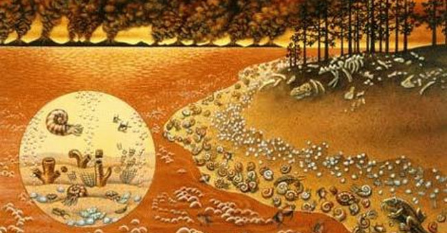 Earth History through images (Part I)