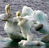 Earth temperature increased by 0.3-4.8 degrees C in this century