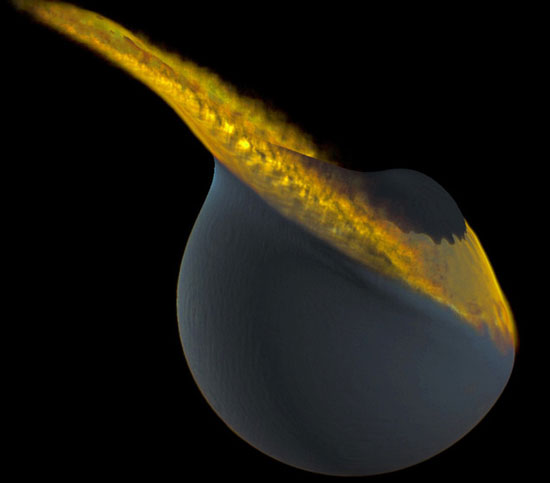 Earth used to have two moons