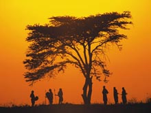 Earth warming to genetically alter animals