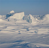 Earth warms, the Arctic will explode vegetation