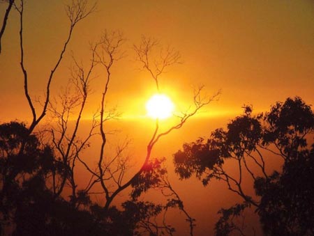 Earth warms very fast in the next 10 years