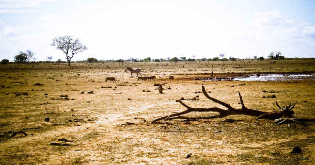 Earth will have a lot more Sahara desert if this trend continues to happen