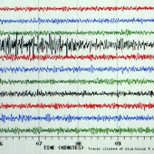 Earthquake 7.2 Richter in Indonesia
