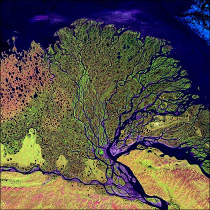 Earth's beauty