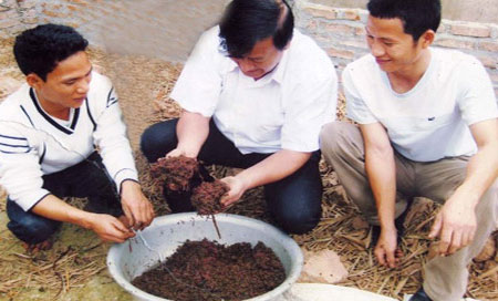 Earthworms and the ability to treat hypertension