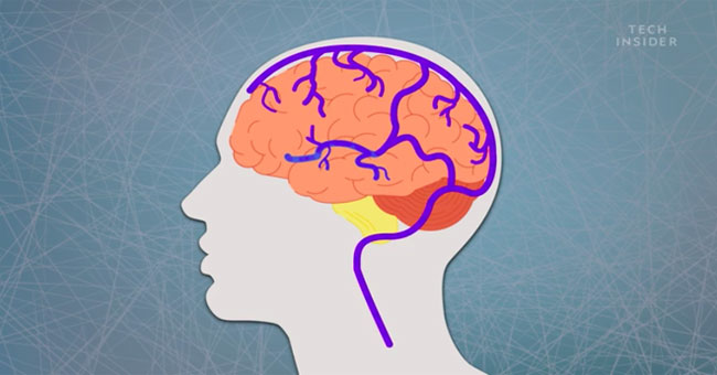 'Eastern brain' - strange phenomenon but a lot of people have experienced it