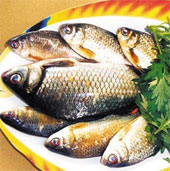 Eat fish to stay healthy
