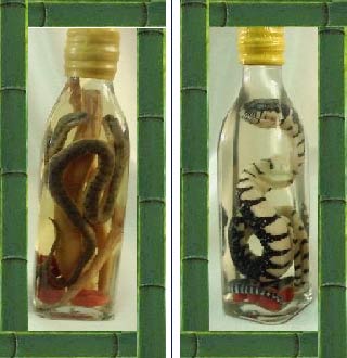 Eat poisonous snakes that watch for poisoning