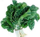 Eat vegetables to keep the brain young