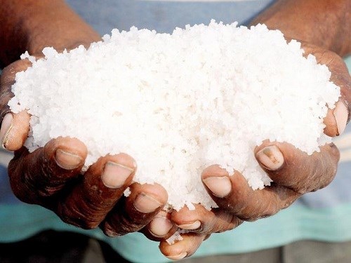 Eating a lot of salt makes children get up late