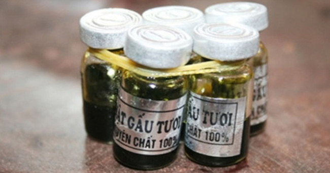 Eating animal bile to treat diseases: Money losing bearing
