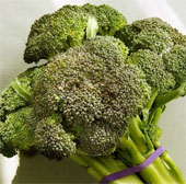 Eating broccoli helps asthma patients to breathe more easily