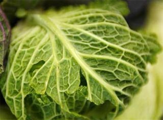 Eating fruits and vegetables reduces the rate of cancer