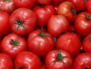 Eating lots of tomatoes is likely to increase immunity
