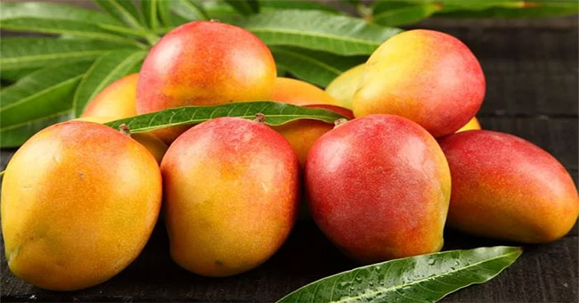 Eating mangoes can fight cancer