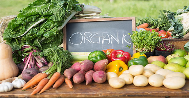 Eating organic foods may reduce the risk of cancer