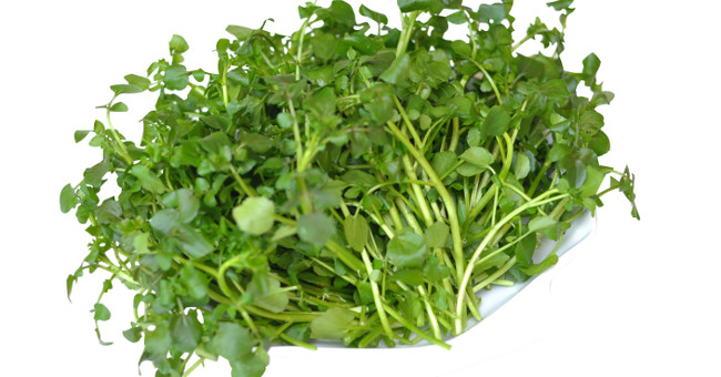 Eating this vegetable every day no longer worries about cancer