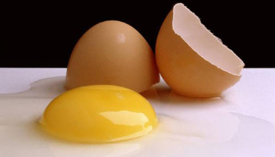 Eating too much cholesterol can damage the brain