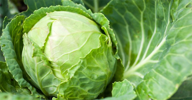 Eating vegetables the wrong way, children can lose their lives because of dangerous syndrome