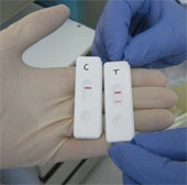 Ebola eZYSCREEN - Ebola detection device in 15 minutes