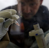 Ebola virus: Why has no cure?