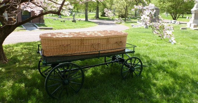 'Eco-friendly' burial is becoming a trend!