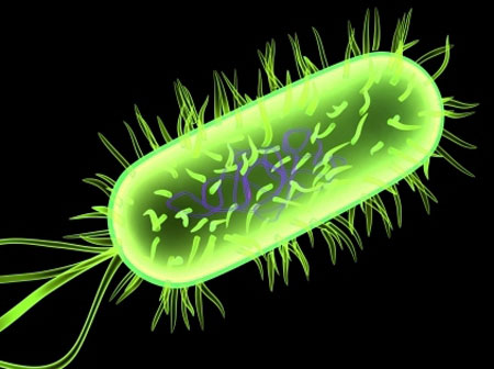 E.coli is encoded with confidential information