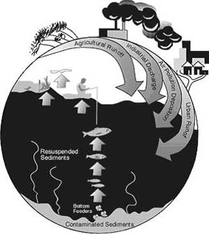 Ecological change - A threat to human health