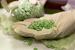 Ecstasy causes destruction of brain cells