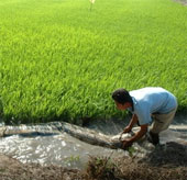 Effective against saline water by manual methods