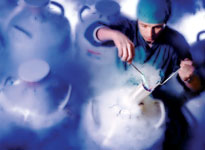 Egg culture with Blastocyst technique
