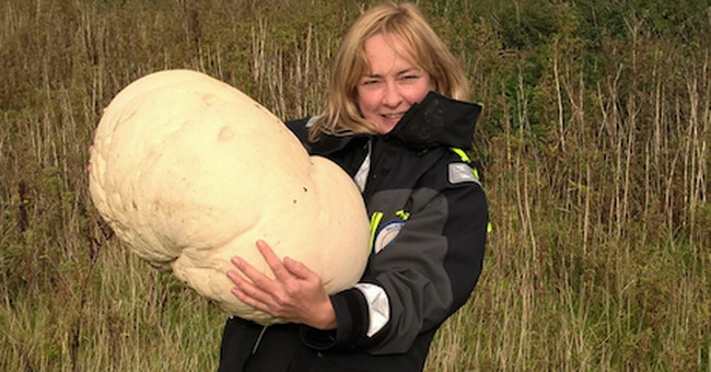 Egg mushroom weighs more than 10kg in Scotland