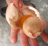 Eggs in eggs in Quang Ngai