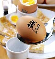 Eggs know 'speak'