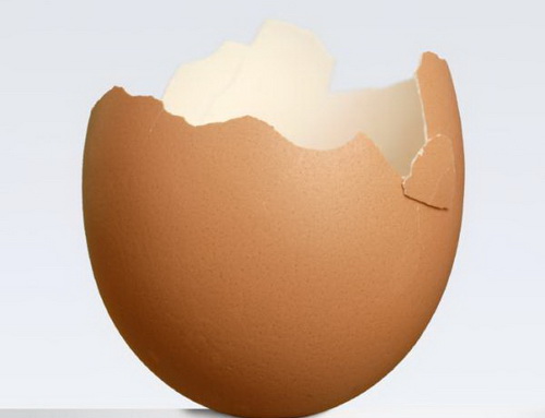 Eggshell can help sustaining the climate change!