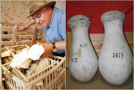 Egypt: Detecting ancient fruits in the tomb of King Tuktankhamon