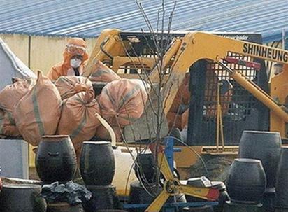 Egypt discovered 3 more people infected with bird flu
