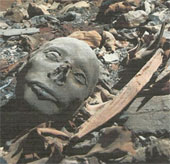 Egypt discovered nearly 60 mummies during the New Kingdom period