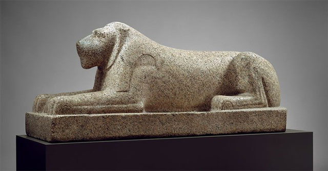 Egypt found mummies mysterious large animals