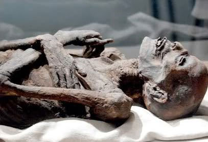 Egyptian mummy revealed the pollution in ancient times