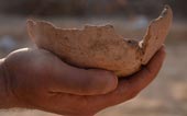 Egyptians can produce beer 5,000 years ago