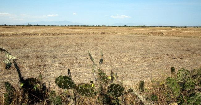 El Nino comes back, hot summers and storms are stronger