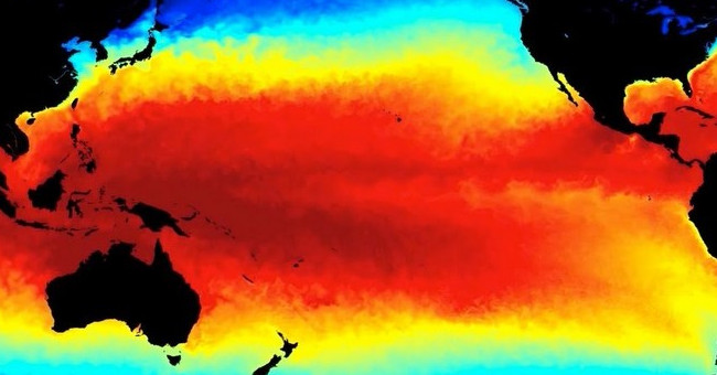 El Niño will make the bacterial community migrate across the continent