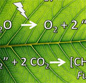 Electricity production by artificial leaves