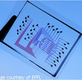 Electronic chips can detect cancer early